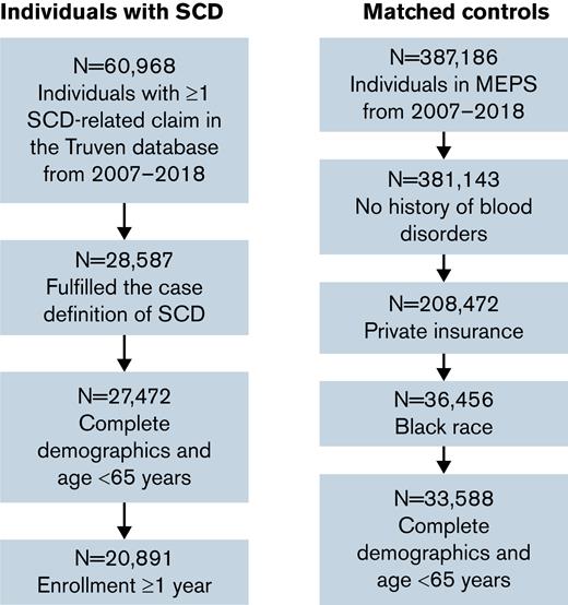 Sample selection process.
