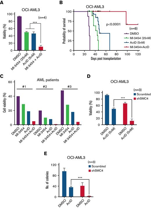 Effect of MI-3454 in combination with actinomycin D. (A) Viability of OCI-AML3 treated with DMSO, MI-3454 (25nM) or Act-D (5nM) as single agent or with the combination therapy of MI-3454 (25nM) and Act-D (5nM) (n=4). n indicates number of independent experiments. (B) Kaplan Maier plot of NSG mice injected with OCI-AML3 treated with DMSO, MI-3454, Act-D or the combination of MI-3454 and Act-D (n=8). n indicates number of independent NSG mice used per experimental arm. (C) Cell viability of BM cells originating from three primary NPM1c AML patients treated with DMSO, MI-3454, Act-D or the combination of MI-3454 and Act-D. (D) The difference in cell viability of SMC4 depleted OCI-AML3 cells versus scrambled control, measured 48h post-treatment with DSMO or Act-D. n indicates number of independent experiments. (E) No. of colonies in the colony forming assay of OCI-AML3 transduced with scrambled control and shRNA mediated SMC4 knockdown, treated with DMSO or Act-D (n=3). n indicates number of independent experiments. ∗P < 0.05; ∗∗P < 0.001; ∗∗∗P < 0.0001.