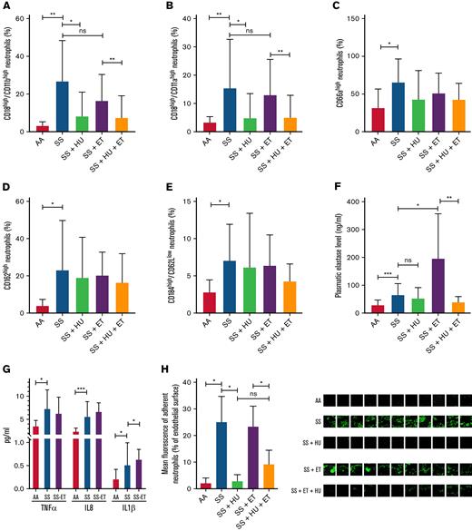Characteristics of neutrophils from healthy controls, untreated patients with SCA, patients with SCA treated with HU, patients with SCA in the ET program, and patients with SCA treated with both HU and ET therapy. Expression of (A) Mac-1 integrin (CD18/CD11b), (B) LFA-1 integrin (CD18/CD11a), (C) CD66a, and (D) CD162 adhesion molecules. (E) Population of aged CD62low/CD184high neutrophils. Plasma level of (F) elastase, (G) TNF-α, IL-8, and IL-1β in healthy controls (AA, n = 8), untreated patients with SCA (SS, n = 8), and patients with SCA in the ET program (SS-ET, n = 8). (H) Percentage of endothelial surface covered by adherent neutrophils after flow adhesion experiments performed on whole blood from healthy controls (AA, n = 3), untreated patients with SCA (SS, n = 3), patients with SCA treated with HU (SS + HU, n = 3), patients with SCA undergoing erythrocytapheresis (SS + ET, n = 3), and patients with SCA in the ET program and treated with HU (SS + ET + HU, n = 3). Representative images of the flow adhesion assay of whole blood on endothelial cells with fluorescent labeling of neutrophils (in green). Data for patients in panels A-H are from healthy controls (AA, n = 10), untreated patients with SCA (SS, n = 12), patients with SCA treated with HU (SS + HU, n = 12), patients with SCA on the ET program (SS + ET, n = 20), and patients with SCA treated with HU and on the ET program (SS + HU + ET, n = 20). The Mann-Whitney t test was used for the statistical comparison within 2 groups. ∗P < .05; ∗∗P < .01; ∗∗∗P < .001. ns, not significant (P > .05).