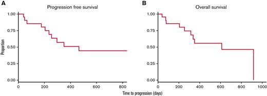 PFS and OS. Estimated 2-year PFS (A) and OS (B) were 48% and 50%, respectively, with IM-TMI.