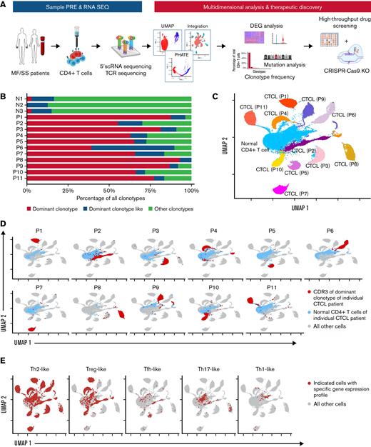 Characterization of transcriptional heterogeneity between patients with CTCL by paired scRNAseq and scTCRseq analyses of CD4+T cells. CD4+ T cells purified from the peripheral blood of 11 patients with CTCL underwent paired single-cell mRNA and TCR VDJ sequencing. (A) Summary of study design including sample preparation, sequencing, multidimensional data analysis, and mechanistic studies. (B) TCR clonotype frequency in purified CD4+ T cells from patients with CTCL (P1-P11) and healthy controls (N1-N3). Dominant clonotype: most frequent complete TCRα and TCRβ CDR3 transcripts. Dominant clonotype–like: TCRα CDR3 or TCRβ CDR3 matching the top clonotype in the absence of any transcript for the other chain. Other clonotypes: all other TCRα and/or TCRβ CDR3 transcripts. Note that in P6, 2 complete TCRα and 2 complete TCRβ sequences were present in the dominant clonotype. (C) A UMAP resulting from the integration of the scRNAseq transcriptomes of samples derived from 11 patients with CTCL (112 840 single cells distributed by annotated, unsupervised clustering) highlights interpatient diversity (each patient with CTCL is distinctly colored), as well as commonality of normal CD4+ T cells among the different patients (blue). (D) Total CD4+ T cells from each patient are individually highlighted throughout the integrated UMAP: normal CD4+ T cells (blue), CTCL cells (highlighted in red according to the dominant CDR3 sequence of each patient). (E) T-cell subsets based on characteristic gene expression are highlighted throughout the integrated UMAP. Th2-like: GATA3 >1, CCR4 >1; Treg-like: FOXP3 >1, CTLA4 >1; Tfh-like: PDCD1 >1, CXCR5 >1; Th17-like: RORC >1, CCR6 >1. (The gene cutoff of 1 indicates that the normalized and scaled gene expression is >1.) UMAP, Uniform Manifold Approximation and Projection.
