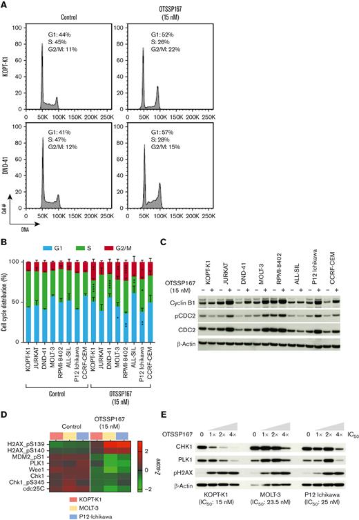 OTSSP167 induces G2/M cell cycle arrest in T-ALL cell lines. (A) Representative flow cytometric analysis of DNA content (propidium iodide) of KOPT-K1 and DND-41 cell lines treated with vehicle or 15 nM OTSSP167 for 48 hours. (B) Effect of OTSSP167 treatment on the distribution in cell cycle phases in a panel of T-ALL cell lines (n=3). (C) Immunoblot analysis of regulators of the G2/M cell cycle checkpoint. (D) Heatmap showing alterations in the G2/M checkpoint by RPPA. (E) Immunoblot analysis of G2/M checkpoint regulators. ∗ P < .05, ∗∗P < .01, ∗∗∗∗P < .0001 (two-tailed Student’s t test).