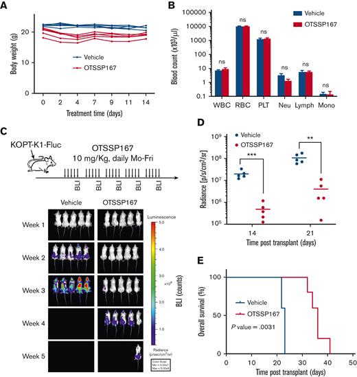 OTSSP167 inhibits the expansion of human T-ALL in a xenograft model. (A) Body weight monitoring of C57BL/6 mice treated Monday to Friday with vehicle or OTSSP167 (10 mg/kg) for 2 weeks. (B) Complete blood count at the end of the 2-week treatment. (C) KOPT-K1 cells labeled with firefly luciferase were injected into NSG mice and randomized into 2 groups for treatment with vehicle or OTSSP167 (10 mg/kg). At the end of each week, leukemia was monitored by BLI (n=5 per group). (D) Photon flux from BLI images at the end of weeks 2 and 3 of treatment. (E) Kaplan-Meier survival analysis. ∗∗P < .01, ∗∗∗P < .001 two-tailed Student t test was used in (D). Log-rank test was used in (E). BLI, bioluminescence imaging