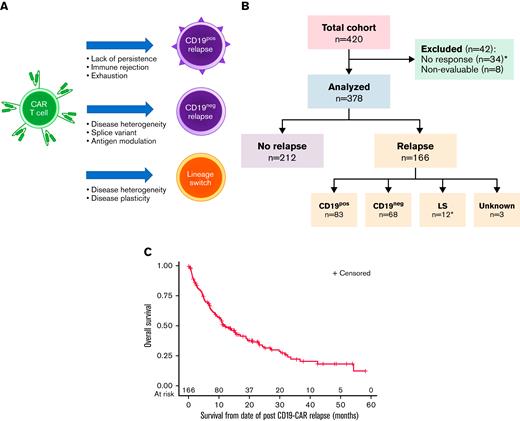 Categories of relapse phenotype and overall outcomes following relapse. (A) Categories of relapse phenotype. (B) CONSORT flow diagram. Figure made using BioRender. Unknown relapse category due to unavailable immunophenotype at time or relapse. ∗Includes 2 patients who had rapid emergence of LS at first restaging timepoint. (C) Overall survival following relapse (n = 166). Median OS was 11.9 months (95% CI, 9.0-17.0). The 6-, 12-, and 24-month OS rates were 69.8% (95% CI, 62.0% to 76.3%), 49.4% (95% CI, 41.1% to 57.2%), and 34.0% (95% CI, 25.7% to 42.5%), respectively.
