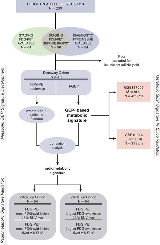 Study design. A total of 230 patients with DLBCL were treated at the IEO, Milan, Italy, from 2010 to 2018. Only patients with available FFPE tissue and baseline FDG-PET scan performed at IEO were initially considered in this analysis. Fifty-six patients had a FDG-PET scan performed before the initial diagnostic biopsy, with available FFPE tissue for molecular analyses. T-GEP success rate was 85.7% (n = 48), with 8 cases not yielding enough high-quality mRNA to undergo successful GEP assessment. Only cases of not otherwise specified (NOS) histology (including those originally diagnosed as DLBCL-NOS and now included in the high-grade B-cell lymphoma provisional category) were considered. Forty-eight patients with NOS-DLBCL with available baseline FDG-PET and mRNA extracted from FFPE tissue samples were finally included in the discovery cohort. A GEP–based metabolic signature (MetSig) was generated in the discovery cohort and validated in silico in 2 large, publicly available DLBCL cohorts (Sha et al and Lenz et al).34,35 A RadSig was generated in the discovery cohort and validated in an independent series of 64 patients with available baseline FDG-PET scan performed at IEO in the same time frame. FFPE tissue for T-GEP was not available in the validation cohort. IEO, European Institute of Oncology; SUV max, standardized uptake value maximum.