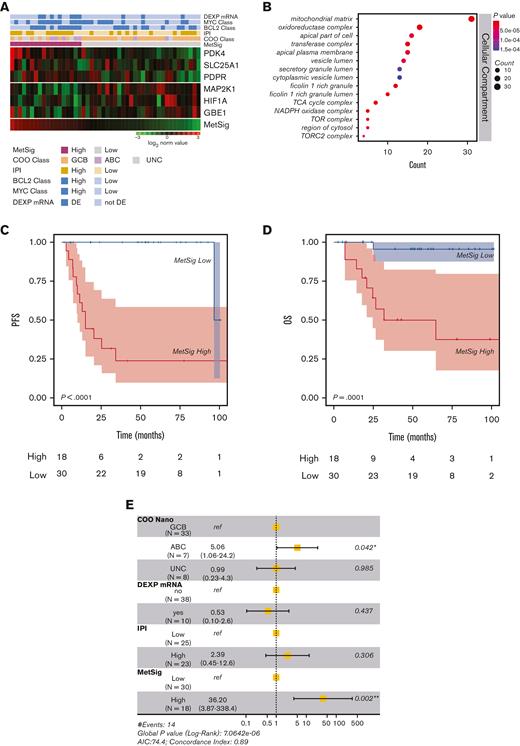 A T-GEP–based MetSig related to oxidative metabolism is significantly associated with outcome in DLBCL. (A) Heatmap showing the expression levels of the 6 genes representing the MetSig selected based on supervised PFS analysis. Each row corresponds to 1 Z score normalized gene expression levels and each column corresponds to 1 patient. The expression change from left to right corresponds to the MetSig stratification. (B) Gene ontology analysis showing the cellular component involved in the T-GEP–based metabolic stratification. The node color changes from red to blue in descending order according to the adjusted P values. The size of the node represents the number of counts. (C) Kaplan-Meier curve for PFS in patients with DLBCL of the discovery cohort. Patients were divided into 2 groups, MetSig-high vs MetSig-low, by applying the maximally selected rank statistics. MetSig-high patients had significant worse outcome compared with MetSig-low patients. (D) OS of the 48 patients in the discovery cohort according to the MetSig showing significant differences in outcome between MetSig-low and MetSig-high patient subsets. (E) Forest plot depicting multivariable analysis for PFS (discovery cohort). According to this analysis, only the COO as determined by NanoString-based T-GEP (COO Nano) and the MetSig retained statistical significance for PFS. AIC, Akaike information criterion; NADPH, nicotinamide adenine phosphate; ref, reference; TCA, tricarboxylic acid.