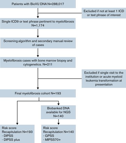 CONSORT diagram. All patients within BioVU were screened via ICD or text phrase for myelofibrosis. Patients identified were then prioritized via a screening algorithm and confirmed myelofibrosis via manual review conforming to WHO 2016 guidelines. The final cohort after meeting strict Inclusion criteria were then sequenced via NGS and had risk score recapitulation performed.