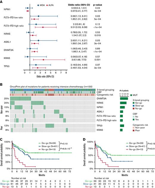 Outcomes of MD Anderson cohort in comparison to ALFA-1200 cohort. (A) Comparison of odds ratios between ALFA-1200 and MDACC models. Classifications by cytogenetic risks, odds ratios, and P values were calculated in multivariable Cox models. The OS-fitting model was constructed on the data sets from the ALFA-1200 study group and MDACC. Error bars indicate 95% confidence intervals. (B) OncoPrint plot of relevant factors among all patients (n = 130). Mutations detected by the ALFA-1200 model, status of 3-tier grouping, CBF, and cytogenetic risks were included. (C-D). OS curves of 3-tier grouping for all patients (n = 130) and patients without CBF (n = 93). Kaplan-Meier analysis and pairwise log-rank test were conducted, and P values were adjusted by the Benjamini-Hochberg method in multiple comparisons.