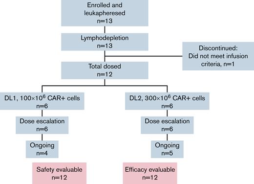 Study CONSORT diagram.
