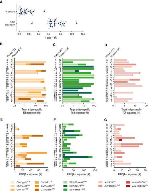 Annotation and quantification of virus-specific TCR sequences from the T-cell products. T cells from 20 T-cell products were successfully expanded. The different virus-specific T-cell populations were sorted by FACS from these expanded products into separate pure populations using pMHC tetramers followed by direct mRNA isolation and TCR sequencing of the CDR3β regions. The remaining unsorted T cells from the T-cell products were sequenced in parallel to quantify the TCRs that were present in the products. (A) The numbers of T cells from the products that were put in culture and the cell numbers after expansion are shown. The red lines represent medians. Shown are the frequencies of CMV- (B), EBV- (C), and AdV- (D) specific TCR nucleotide sequences (CDR3β sequences) that were present in the target antigen–specific T-cell products. The sum of all target antigen–specific TCR nucleotide sequences were set to 100%. The different virus specificities are shown as stacked columns for each product. The number of different CDR3β sequences are shown that were specific for CMV- (E), EBV- (F) and AdV- (G) derived antigens for each product. nt, nucleotide; ID, identification.