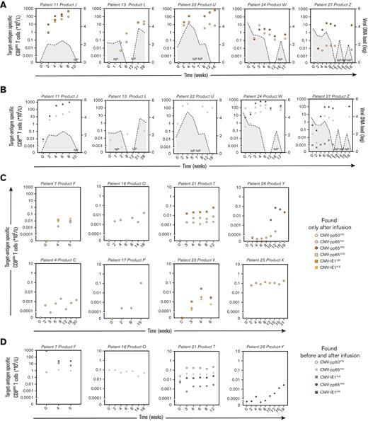 Kinetics of CMV-specific T cells with TCR nucleotide sequences also present in the infused T-cell products in patients with and without viral loads after infusion. Positive CMV viral loads were detected in 5 out of 13 patients that received a T-cell product containing CMV-specific T cells. PB samples that were obtained before and after infusion of the products were sorted by MACS for CD8+ T cells followed by mRNA isolation and sequencing of the TCRs. The numbers of target antigen–specific CD8+ T cells per liter blood were calculated by multiplying the frequencies of CMV-specific TCR nucleotide sequences with the absolute numbers of CD3+/CD8+ T cells per liter. CMV viral loads (dashed lines with gray area under the curve) and absolute numbers of CMV target antigen–specific T cells in PB samples are illustrated from the moment just before product infusion (day 0) until the end of follow-up. Shown are the kinetics of CMV target antigen–specific T cells in patients with CM -reactivations in whom TCR nucleotide sequences were found that only appeared after infusion of the products (A) and appeared before and after infusion of the products (B). Shown are the kinetics of CMV target antigen–specific T cells in patients without detectable CMV viral loads in whom TCR nucleotide sequences that were identical to the products were found that only appeared after infusion of the products (C) and appeared before and after infusion of the products (D). NP, not performed.