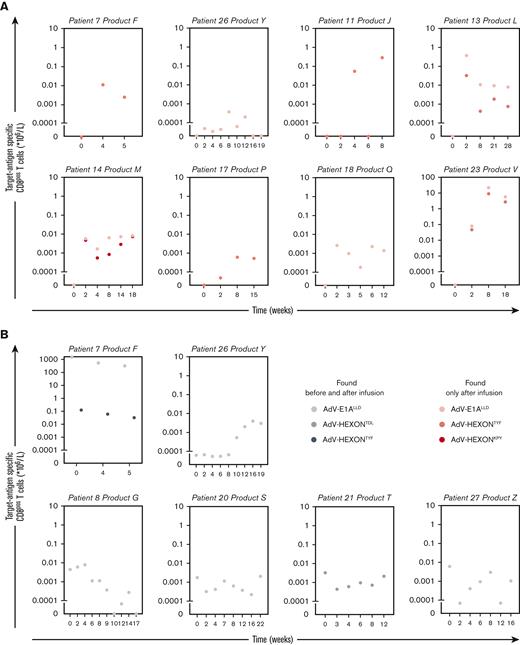 Kinetics of AdV-specific T cells with TCR nucleotide sequences present in the infused T-cell products in patients without viral loads after infusion. In 16 out of 17 patients that received a product that contained AdV-specific T cells, no AdV viral load was detected after infusion of the product. PB samples of these 16 patients that were obtained before and after infusion of the product were sorted by MACS for CD8+ T cells followed by mRNA isolation and sequencing of the TCRs. The numbers of target antigen–specific CD8+ T cells per liter were calculated by multiplying the frequencies of AdV-specific TCR nucleotide sequences with the absolute numbers of CD3+CD8+ T cells per liter of blood. Absolute numbers of AdV target antigen–specific T cells in PB samples are illustrated from the moment just before product infusion (day 0) until the end of follow-up. Shown are the kinetics of AdV target antigen–specific T cells in patients without detectable AdV viral loads in whom TCR nucleotide sequences that were identical to the products were found that only appeared after infusion of the products (A) and appeared before and after infusion of the products (B).
