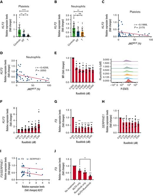 KLF2 is downregulated in PV and ET platelets and neutrophils by JAK-STAT signaling.KLF2 transcript levels were measured in (A) platelets and (B) neutrophils and expressed as a fold changes. KLF2 transcript levels in (C) platelets and (D) neutrophils correlated with JAK2V617F allele burden measured in neutrophils. (E) Phosphorylated STAT5 (P-STAT5) were measured in HEL cells treated with various concentrations of ruxolitinib by fluorescence activated cell sorting analysis and mean fluorescence intensity was calculated against samples without treatment which is taken as 1 and expressed as fold changes. (F) KLF2, (G) F3, and (H) SERPINE1 transcript levels were measured in HEL cells treated with various concentration of ruxolitinib. (I) KLF2 transcript levels were not correlated with F3 and SERPINE1 transcript levels in ruxolitinib treated HEL cells. (J) F3 transcript levels were measured in HEL cells with only KLF2 overexpression, only ruxolitinib treatment, and both KLF2 overexpression and ruxolitinib treatment. Expression levels were expressed as fold changes and no treatment control was taken as 1. P value was calculated by unpaired t test or paired t test. Correlation analysis was performed by Spearman correlation using GraphPad prism. ∗∗∗∗ P < .0001, ∗∗ P < .01, ∗ P < .05. P-STAT5, Phosphorylated STAT5; NT, no history of thrombosis; T, history of thrombosis.