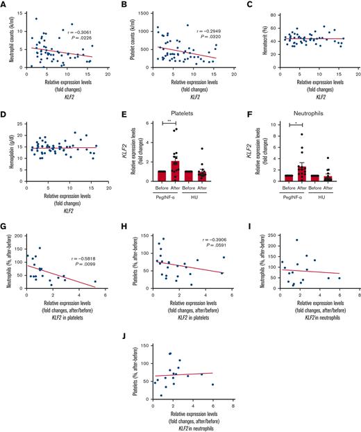 KLF2 levels in platelets are inversely correlated with neutrophil and platelet counts and increased with PegINF-α treatment.KLF2 transcript level in platelets was inversely correlated with (A) neutrophil counts and (B) platelet counts but not with (C) hematocrit and (D) hemoglobin concentration. KLF2 transcript levels were measured in (E) platelets and (F) neutrophils before and after PegINF-α or HU. Changes of (G) neutrophil counts and (H) platelets counts were calculated against before treatment which was taken as 100% and inversely correlated with changes of KLF2 transcript levels in platelets. Changes of (I) neutrophil counts and (J) platelets counts were calculated against before treatment which was taken as 100% and inversely correlated with changes of KLF2 transcript levels in neutrophils. P value was calculated by paired t test. Correlation analysis was performed by Spearman correlation using GraphPad prism. ∗∗ P < .01, ∗ P < .05.