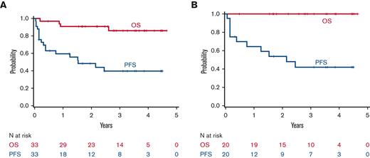 Survival outcomes. Kaplan-Meier plots of PFS and OS in all patients (N = 33) treated (A) and for patients only with FL (N = 20) (B).