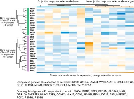 Hierarchical cluster analysis of GEP among patients with FL with vs without objective response to ixazomib monotherapy. Heat map shows normalized RNA expression levels.