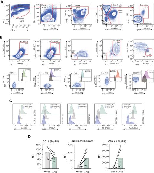 Exacerbated neutrophilia in the airways and matching blood in patients with severe COVID-19. (A) Representative gating strategy for all samples (supplemental Figure 1 for full gating strategy). (B) Representative plots demonstrating the inflammatory profile of pulmonary neutrophils, including NE, CD184 (CXCR4), and intracellular staining of IL-6, IL-8, and IL-1β, including the full stain and FMO controls. (C) Representative histograms showing the median fluorescence intensity (MFI) of key markers in healthy blood (blue), severe blood (gray), and severe ETA (green) samples. (D) MFI of CD16 (FCγRIII), NE, and CD63 (LAMP-3) reveal a GRIM-like phenotype in neutrophils from paired blood (gray circles) and lung (green squares) samples.