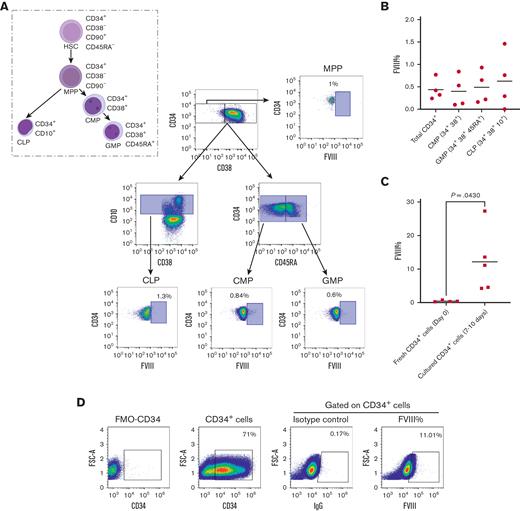 CD34+cells exhibit natural production of FVIII upon cytokine-induced differentiation in culture. (A-B) FVIII percentage in fresh human CB-derived CD34+ HSCs measured as MFI by FC. (A) FC gating strategy and examples of FVIII percentage in different HSC progenitors. (B) FVIII percentage in total CD34+ cells and different progenitors (n = 4, mean). (C) FVIII percentage in fresh vs cultured CD34+ cells in serum-free medium (n ≥ 4, mean). (D) Representative FC plot of 7 to 10 days cultured CD34+ cells. CLP, common lymphoid progenitor; CMP, common myeloid progenitors; FSC, forward scatter; GMP, granulocyte-macrophage progenitor; IgG, immunoglobulin G; MFI, mean fluorescence intensity; MPP, multipotent progenitor.