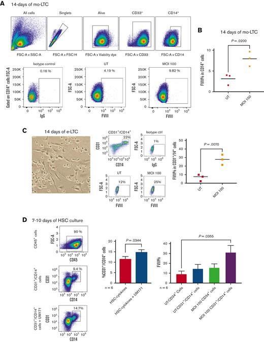 UM171 enriches CD14+/CD31+monocyte subset with high FVIII expression capacity. (A-B) FVIII expression in CD14+ monocytes differentiated from CD34+ cells after 14 days of monocyte-LTC (mo-LTC) assay. (A) An example of transduction efficiency and logical gating strategy for UT vs 100 MOI transduced CD34+ cells differentiated into CD14+ cells. (B) Collective analysis of FVIII expression in CD14+ monocytes differentiated from UT and transduced CD34+ cells after 14 days of mo-LTC assay (n = 3, mean). (C) A phase-contrast image (original magnification ×20) of adherence, elongation, and cell features after 7 days of the e-LTC assay (left); examples of total CD45+/CD14+/CD31+ cells after 14 days of the e-LTC assay, and FVIII expression in the same cells derived from UT and MOI 100 transduced CD34+ cells (middle); and cumulative expression of FVIII in CD45+/CD14+/CD31+ cells after e-LTC assay (n = 3, mean) (right). (D) FC plots and cumulative data showing CD45+/CD14+/CD31+ enrichment after 10 days of the CD34+ culture in HSC-cytokine medium with or without UM171 (n = 6, mean ± SEM) (left and middle). FVIII expression in transduced and UT CD34+ cells and differentiated CD14+/CD31+ cells after 7 to 10 days culture with UM171 (n = 6, mean ± SEM) (right). e-LTC, endothelial-long term culture; FC, flow cytometry; mo-LTC, monocyte-long term culture.