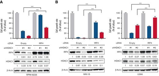 IRF4 is a crucial target of HDAC1 in MM cells. (A-B) RPMI 8226, MM.1S, or U266 cells were transduced with IRF4 cDNA or Empty as a control by a retrovirus. Cells were further knocked down with HDAC1 or Luc shRNA. After puromycin selection, cell viability for 48 hours was assessed by the CCK-8 assay, and the whole cell lysates extracted were subjected to immunoblotting using the indicated antibodies. β-Actin served as a loading control. Relative expression levels of each target, which are normalized to its loading control, are shown below for each immunoblotting image. Error bars show the SD of triplicates. The cell growth rate in each cell line induced Empty or IRF4 cDNA with the shLuc set as 100% for control. ∗∗∗P < .001 significantly different from each cell induced with Empty cDNA with shHDAC1; the Tukey-Kramer multiple comparison test.