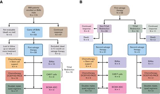Treatment breakdown of the patients with MM cohort. (A) Flowchart showing that the initial retrospective query yielded 115 patients with RRMM enrolled in a BiAb clinical trial at Mount Sinai Hospital. Of these 115 patients, we focused on 58 patients who came off the trials and received salvage therapy, including other T-cell redirection therapies, chemotherapy, and triplet regimens. (B) Clinical outcomes of therapies administered to 58 patients as FST and breakdown of treatments given to 37 patients as SST.