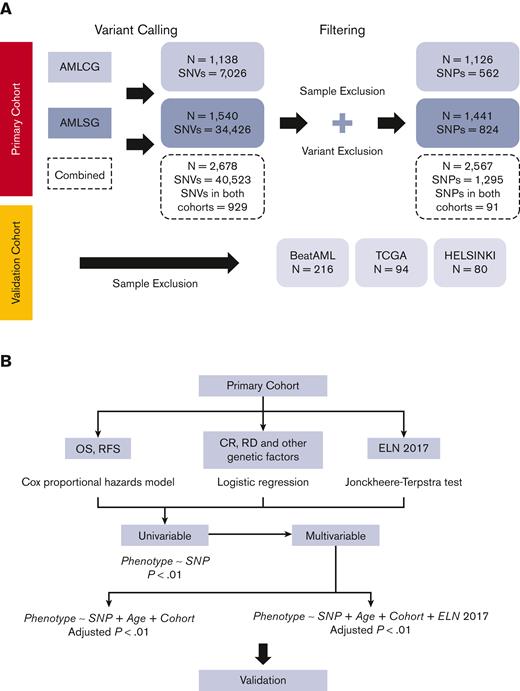 Flow diagram of cohorts and statistical analysis. (A) Flow diagram of cohorts under study. The difference in the number of variants called is due to the difference in sequencing types and the region of coverage. Sample exclusion comprise those (1) with missing phenotype information, (2) with M3 sub-types: t(15;17), and (3) exclusion of pretreated patients limiting the analysis to patients receiving AML-directed induction treatment. Variant exclusion consist of those (1) that are not annotated in the dbSNP database; (2) with major allele frequency (MAF) < 1% in European population based on 1000 Genomes project (excluding rare SNPs in European population); (3) with MAF <5% in our primary cohort (excluding rare SNPs in our cohort); (4) which failed with Hardy-Weinberg equilibrium P-value threshold of 10−6; and (5) which are missing in more than 70% of samples.17 (B) Statistical analyses applied. Cox proportional hazards models were applied for detecting differences in OS and RFS, whereas logistic models were used for CR, RD, and other genetic factors. In the case of ELN2017 association with SNPs, we used the Jonckheere-Terpstra test to identify ordered differences among different groups.18 SNPs significant in the univariate analysis (unadjusted P < .01) were included in a multivariable model and stratified for age and the ELN2017 classification. We also added cohort as covariate for those SNPs that were present in both AMLCG and AMLSG data sets. For comparison, we also performed multivariable models excluding the stratification for ELN2017. The P values from the multivariable models were corrected for multiple testing using the Benjamini-Hochberg method.19 CR, complete remission; RD, refractory disease; SNV, single nucleotide variant; TGCA, The Cancer Genome Atlas.