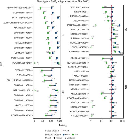 Multivariable analysis of common SNPs stratified for age and cohort. The colors represent if the analysis was also accounted for the ELN2017 classification. The Cox proportional hazard model was used for both OS and RFS, whereas logistic regression was used for CR. The numbers represent odds ratio/hazard ratio in its respective analysis. The red line indicates the adjusted P value cutoff of .01 after multiple testing correction. In the case of the validation cohort, we did not adjust the P values for multiple testing correction.