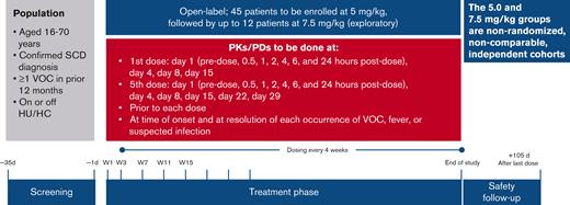 SOLACE-adults study design. HC, hydroxycarbamide.