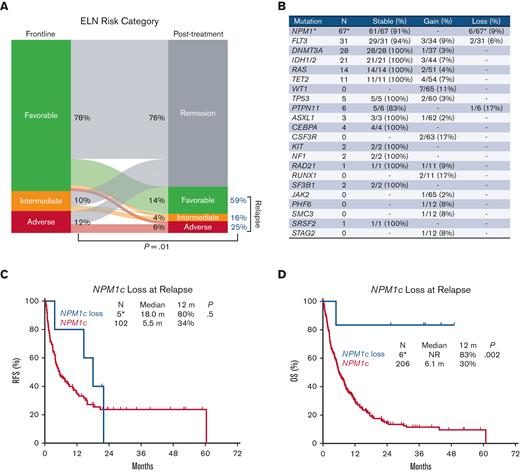 Clonal architecture of AML with mutated NPM1 at relapse. (A) Change in the ELN risk classification at relapse. (B) Mutational evolution, including stability, gain, or loss of mutations at relapse. N is the number of patients with the corresponding mutation at diagnosis among those evaluable by mutational analysis performed at diagnosis and at the time of relapse. The percentages for stability and loss were calculated as the number of patients with mutations that persisted or were lost at relapse divided by patients with mutations in the corresponding gene present at diagnosis. Percentage gain was calculated as the number of patients with mutations acquired at relapse divided by the number of patients without mutations in the corresponding gene at diagnosis. (C-D) Impact of NPM1c loss at relapse on relapse-free survival and overall survival. ∗Two of the 6 patients who lost NPM1c at relapse underwent mutational analysis at diagnosis before referral to our center.