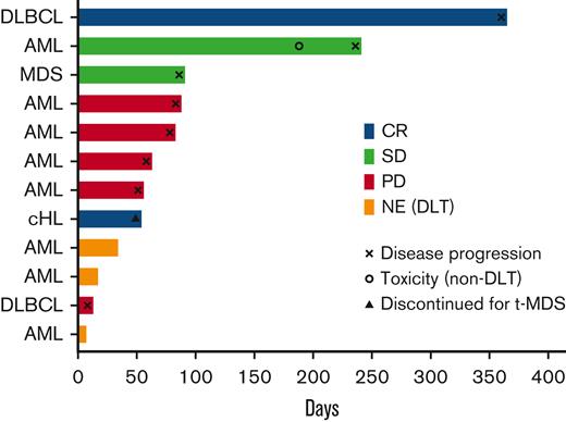 Response information. Swimmer plot demonstrating response information for patients in the study. CR, complete response; NE, not evaluable; PD, progressive disease; SD, stable disease.