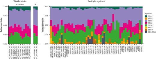 SBS signatures in WM compared with MM.