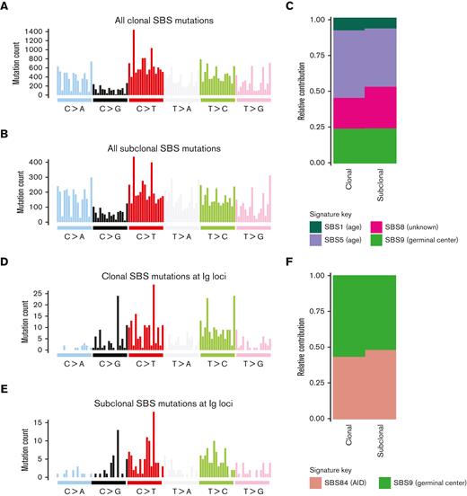 Clonal and subclonal contribution of SBS signatures in WM. 96-class profile of genome-wide SBS mutations at the (A) clonal and (B) subclonal level. (C) SBS mutational signatures obtained after collapsing all genome-wide mutations at the clonal and subclonal level. (D-E) 96-class profile of SBS mutations specific to the immunoglobulin loci at the (D) clonal and (E) subclonal level. (F) SBS mutational signatures obtained after collapsing all mutations within immunoglobulin loci at the clonal and subclonal level.