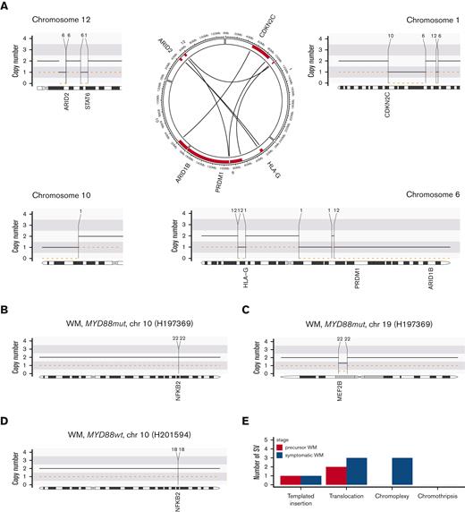 Structural variants in WM. (A) Example of a chromoplexy event between chromosomes 1, 6, 10, and 12. (B-D) Examples of structural variants affecting driver genes: translocations affecting NFKB2 (B/C) and MEF2B (D). (E) Total number of structural variants by disease stage.