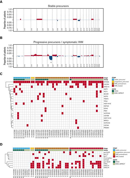 Copy number profiles from Waldenström's macroglobulinemia. Cumulative copy number profiles across samples with (A) IgM MGUS or symptomatic precursor WM, and (B) symptomatic and treatment-exposed Waldenström's macroglobulinemia. Samples from patients with asymptomatic disease that later progressed were considered together with samples from symptomatic patients. In (A/B), red, gain; blue, deletion. ∗ = peak is significantly different between group according to GISTIC analysis. (C) Heatmap of mutations according to clinical stage. (D) Heatmap of copy number and structural variants according to clinical stage.