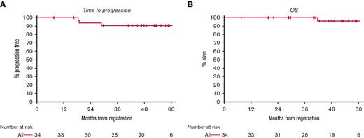 PFS (A) and OS (B) for all patients. The median length of follow-up is 53 months. The median PFS and OS have not been reached.