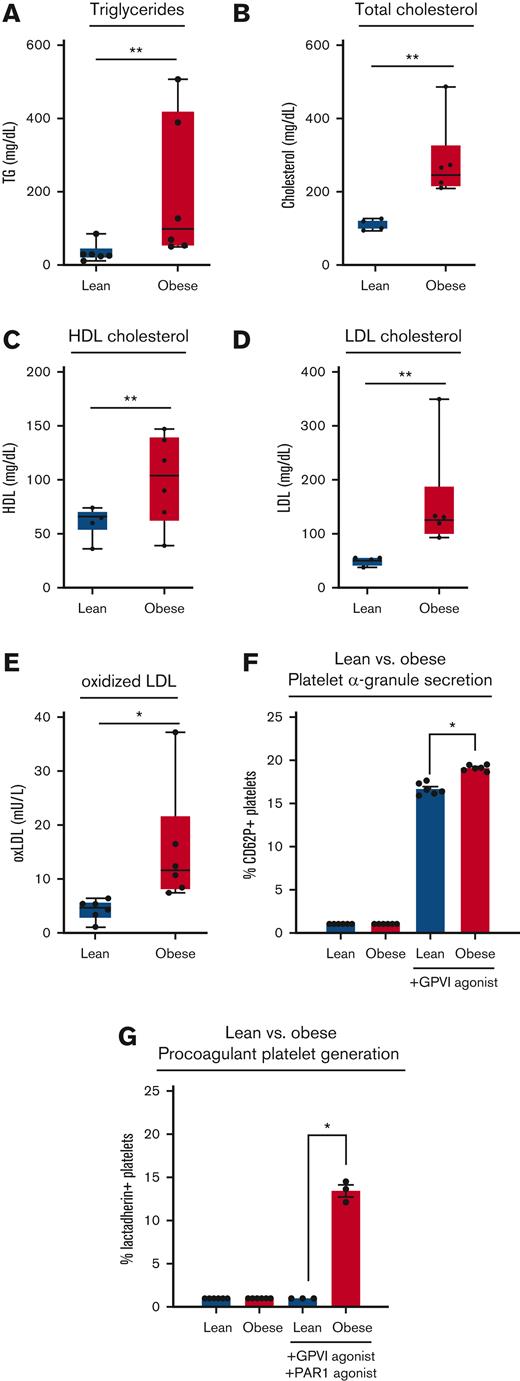 Elevated oxLDL and enhanced GPVI-mediated procoagulant platelet generation in obese nonhuman primates. Blood was collected from a cohort of lean (n = 6) and diet-induced obese (n = 6) rhesus macaques to prepare serum for analysis of triglycerides (A), total cholesterol (B), high-density lipoprotein cholesterol (C), LDL cholesterol (D), and oxLDL immunoreactivity (E). Citrate-anticoagulated whole blood from lean and obese animals was stimulated with GPVI agonist (0.1 μg/mL CRP-XL) or a combination of GPVI and PAR1 agonist (1 μg/mL CRP-XL, 20 μg/mL TRAP-6) before flow cytometry analysis of platelet α-granule secretion (F) and platelet PS exposure (G). Statistical analysis was performed using a one-way analysis of variance (ANOVA) test and the corresponding P values of significance are as indicated: ∗P < .01, ∗∗P < .001, and ∗∗∗P < .0001. CRP-XL, crosslinked collagen-related peptide.