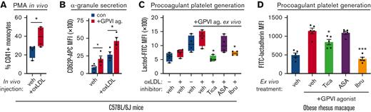 oxLDL enhances platelet procoagulant activity in vivo. (A) Wild-type C57BL/6J mice (median age, 6 weeks) were intravenously injected with vehicle (phosphate-buffered saline) alone or oxLDL 10 minutes before blood collection into citrate (n = 5 per condition). Whole blood samples were analyzed for platelet-monocyte aggregate formation as previously described.35,49 (B) Whole blood samples from vehicle- and oxLDL-injected animals were subsequently stimulated with GPVI agonist (0.1 μg/mL CRP-XL) before flow cytometry analysis of CD62P as a marker of platelet α-granule secretion. (C) Sets of mice (n = 5 each) were administered by vehicle (dimethyl sulfoxide), ticagrelor (100 mg/kg), aspirin (30 mg/kg), or ibrutinib (10 mg/kg) by intraperitoneal injection before oxLDL injection, blood collection, and flow cytometry analysis of FITC-lactadherin to follow platelet PS exposure. (D) Aliquots of citrate-anticoagulated whole blood from obese rhesus macaques (detailed in Figure 1, in previous section) were pretreated with vehicle (dimethyl sulfoxide), ticagrelor, aspirin, or ibrutinib before stimulation with GPVI agonist (0.1 μg/mL CRP-XL), lactadherin-FITC staining, and flow cytometry assessment of platelet PS exposure. Statistical analysis was performed using a one-way ANOVA test and the corresponding P values of significance are as indicated: ∗P < .01.