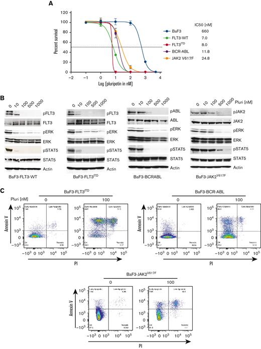 Pluripotin potently inhibits the proliferation of Ba/F3 cells expressing FLT3ITD, BCR-ABL, and Jak2V617F. (A) The sigmoidal curve showing the viability of Ba/F3 cells expressing FLT3ITD, BCR-ABL, and Jak2V617F treated with dimethyl sulfoxide or increasing concentrations of pluripotin for 72 hours. IC50 values for each cell line is indicated on the right. (B) Showing pFLT3, pERK1/2, and pSTAT5 levels determined by western blotting using total cells extracts incubated with different concentrations of pluripotin for 2 hours were probed with anti-pFLT3, anti-pSTAT5, anti-pERK1/2, anti-FLT3, anti-ERK1/2, and anti-STAT5 antibodies. (C) Scatter plot showing the extent of apoptosis in Ba/F3 cells expressing FLT3ITD, BCR-ABL, and Jak2V617F after the treatment with 100 nM of pluripotin. The quadrant in each plot show; Q1, early apoptotic cells (annexin V+); Q2, late apoptotic cells (annexin V+ and PI+); Q3, necrotic cells (PI+); and Q4, viable cells (annexin V− and PI−). Representative cell proliferation data is shown from the mean of 2 independent experiments ± SD. Pluri, pluripotin.