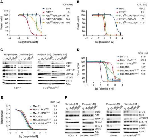 Pluripotin abolishes the adaptive resistance conferred by RASmutants, BCR-ABL, and Jak2V617. Dose-response sigmoidal curve showing the proliferation of Ba/F3 cells expressing FLT3ITD and cooperating mutants BCR-ABL, RASG12V, and Jak2V617F implicated in adaptive resistance. A dose-dependent cell proliferation showing resistance to gilteritinib (A) although treatment with pluripotin fully inhibited their proliferation (B). (C) A comparative immunoblot analysis showing inhibition of FLT3, ERK1/2, and STAT5. Total cell extracts from the BaF3-FLT3ITD and BaF3-FLT3ITD/RASG12V cells treated with gilteritinib or pluripotin for 2 hours were probed with anti-pFLT3, anti-pSTAT5, anti-pERK1/2, anti-FLT3, anti-ERK1/2, and anti-STAT5 antibodies. The sigmoidal curves showing the proliferation of human AML cell lines, MOLM13 and MV4-11, expressing RasG12V and RASQ61K resistant to gilteritinib (D) whereas pluripotin treatment fully inhibited their proliferation (E). (F) Immunoblot analysis showing inhibition of proliferation is owing to on-target inhibition of FLT3, ERK1/2, and STAT5. Total cell extracts from the AML cells treated with pluripotin for 2 hours were probed with anti-pFLT3, anti-pSTAT5, anti-pERK1/2, anti-FLT3, anti-ERK1/2, and anti-STAT5 antibodies. Representative cell proliferation data and western blottings are shown from 2 independent experiments. Error bars represent ± SD.