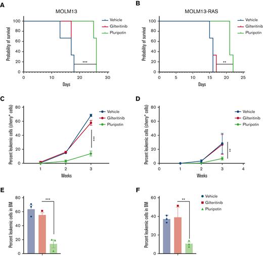 Pluripotin treatment decreases leukemic burden in vivo and prolongs survival. The survival of NSGS mice transplanted with human AML cell lines MOLM13 (A) and MOLM13-RASG12V (B) is shown. One million MOLM13 and MOLM13-RASG12V cells were transplanted by tail vein injection in NSGS mice. Treatment with gilteritinib (100 mg/kg daily) and pluripotin (15 mg/kg daily) was started after 2 days of transplantation. Control mice were injected with vehicle, phosphate-buffered saline. shown are leukemic burden measured by cherry+ cells in mice recipients of MOLM13 (C) and MOLM13-RASG12V (D). Bar graph showing the percentage of leukemic cells determined by cherry+ cells using FACS in mice transplanted with MOLM13 (E) and MOLM13-RASG12V cell (F). Presented data are from 2 independent experiments (3 mice per group) shown as mean ± SD. ∗P < .05, ∗∗P < .01, and ∗∗∗P < .001.