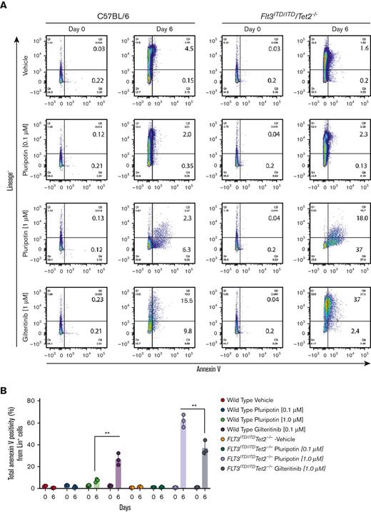 Pluripotin induces apoptosis in leukemic cells while enriching the normal HSC progenitors. (A) Scatter plot showing the extent of apoptosis in Lin− cells from the WT (left) and leukemic mice (right) on day 0 and after 6 days of drug treatment (vehicle, 0.1 mM and 1 mM pluripotin; 1 mM of gilteritinib). In each density plot quadrant show; Q1, Lin− cells (Lin+ and annexin V−); Q2, apoptosis of differentiated cells (annexin V+ and Lin+); Q3, apoptosis in Lin− cells (Lin− and annexin V+); and Q4, Lin− viable cells (annexin V− and Lin−). (B) Bar plot showing total apoptotic cells from both Lin− and Lin+ cells. (C) Bar plots showing the apoptotic cells from Lin− cells. (D) Bar plot representing apoptotic cells from Lin+ cells. (E) Bar plots showing annexin V+ cells in CD34+ cells from the normal and AML donors before and after 6 days of drug treatment. (F) Bar plot depicting the colony-forming unit (CFU) numbers from the normal and AML CD34 cells treated with vehicle (dimethyl sulfoxide), pluripotin (0.1 mM and 1 mM) and gilteritinib (1 μM). All data presented are shown as mean ± SD collected from 2 independent experiments. ∗P < .05, ∗∗P < .01, and ∗∗∗P < .001.