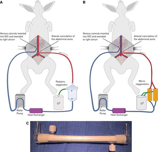 Schematic of the ECMO circuit. Shown is a schematic of the rabbit VA-ECMO circuit used in the protamine/heparin cohort (A) and the citrate/calcium cohort (B). Note that the Medos Hilite LT Infant 800 oxygenator used in the protamine/heparin cohort was replaced with 2 Micro-1 oxygenators (C) in the citrate/calcium cohort.
