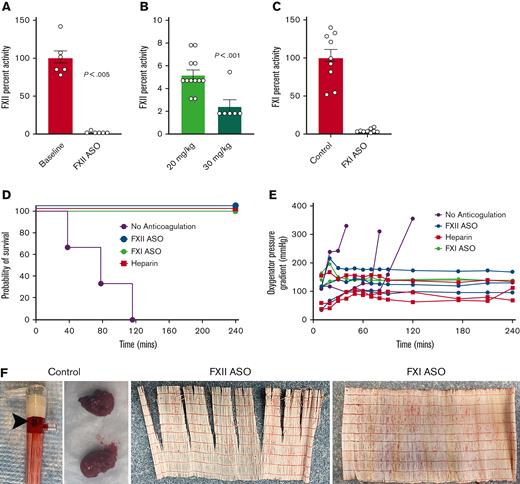 Targeting FXI or FXII limits thrombotic complications and prolongs ECMO circuit life (citrate/calcium cohort). (A) A higher dose of FXII ASO (30 mg/kg) decreased circulating FXII activity to ∼2% of normal, a level significantly lower than that achieved with 20 mg/kg (B). (C) A separate cohort of rabbits was treated with an FXI-specific ASO resulting in FXI activity levels < 5% of baseline at the time of ECMO initiation. (D-F) Shown are the results of experiments where donor rabbit blood was anticoagulated with citrate, followed by normalization of plasma calcium. (D) Depletion of either FXI or FXII significantly prolonged the life of a revised ECMO circuit using 2 micro-oxygenators placed in parallel. (E) Shown are the pressures across the oxygenators as a function of time for each animal. Note that all 3 control rabbits experienced significant pressure spikes across the oxygenators just before circuit failure, whereas oxygenator pressure remained relatively stable in the heparin-treated animals, as well as the FXII- and FXI-depleted animals. (F) Thrombi were readily evident on all the oxygenators used for the control animals, whereas none of the oxygenators used in heparin, FXI ASO-, or FXII ASO-treated rabbits had evidence of visible thrombi.
