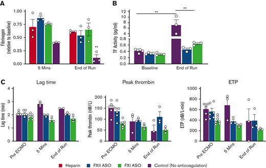 Targeting FXI or FXII limits fibrinogen consumption, coagulopathy, and circulating TF in ECMO. (A) Shown are plasma fibrinogen levels at baseline, 5 minutes after citrate reversal, and at the end of the ECMO run. Note that depletion of FXI or FXII maintained plasma fibrinogen levels compared with heparin treatment. (B) Shown are measurements of plasma TF activity pre- and post-ECMO. (C) Shown are results of TGAs initiated with 5 pM TF in control (purple), FXII-depleted (blue), and FXI-depleted (green) rabbits pre-ECMO, 5 minutes after citrate reversal, and at the end of the ECMO run. ECMO resulted in a significant increase in the lag time and a decrease in peak thrombin in control rabbits, whereas thrombin generation remained relatively stable in the FXII ASO-treated rabbits. As expected, FXI depletion resulted in a decrease in thrombin generation at baseline, but overall thrombin generation remained stable throughout the ECMO run. Note that 1 of the control rabbits had no measurable thrombin generation at the end of the ECMO run. ∗∗P < .01, 2-way analysis of variance; data represent the mean and SEM.