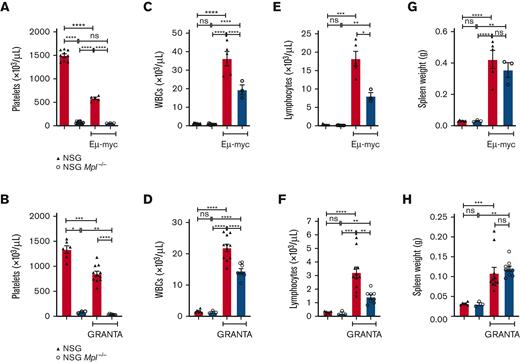 Reduced disease progression in NSG Mpl−/− mice. Eμ-myc 5849 (104 P1) tumor cells were injected IV into NSG and NSG Mpl−/− mice 14 days before analysis. (A) Platelet count, (C) WBC count, (E) lymphocyte count, and (G) spleen weight. Mean ± SEM. n = 3 to 5 mice per genotype (Eμ-myc transplant). n = 10 to 14 mice per genotype (without transplantation). Spleen (n = 3-6 mice without transplantation per genotype). Human GRANTA (2 × 106) tumor cells were injected intraperitoneally into NSG and NSG Mpl−/− mice 23 days before analysis. (B) Platelet count, (D) WBC count, (F) lymphocyte count, and (H) spleen weight. Mean ± SEM. n = 8 to 11 mice per genotype (GRANTA transplant). n = 3 to 6 mice per genotype (without transplantation). Male and female mice. Each symbol represents an individual mouse. One-way ANOVA with Tukey multiple comparison test were performed on data that passed the Shapiro-Wilks normality test, panels A, C, D, F, and G. Student unpaired t test with Mann Whitney U test were performed for data that did not pass the normality test, panels B, E, and H. ∗P < .05, ∗∗P < .005, ∗∗∗P < .001, ∗∗∗∗P < .0001.