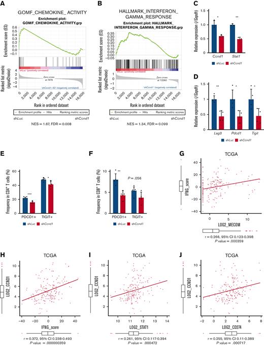 Cyclin D1 is associated with IFN signatures and immune exhaustion in EVI1-AML. (A) GSEA showing that gene sets associated with chemokine activity are downregulated after silencing Ccnd1 in vitro. (B) GSEA showing that gene sets associated with IFN-γ signaling are upregulated by silencing Ccnd1 in vivo. (C) qPCR showing the relative expression of Stat1 in EVI1-AML cells with Ccnd1 silencing. (D) qPCR showing the relative expression of exhaustion-related genes in the spleen T cells from shLuc- or shCcnd1-EVI1-AML mice before the development of full-blown AML. Freshly isolated AML cells (1 × 106) from shLuc- or shCcnd1-EVI1-AML mice were injected into the secondary recipient mice without TBI, followed by T-cell isolation from the spleen 19 days after transplant. Please see supplemental Figure 6H. (E) Frequency of cellular subsets of CD4 T cells infiltrating the liver of EVI1-AML mice with frank leukemia. Please see supplemental Figure 6I. (F) Frequency of cellular subsets of CD8 T cells infiltrating the liver of EVI1-AML mice with indicated shRNA after exposure to 4.5 Gy TBI. Please see supplemental Figure 6I. (G-H) Pearson correlation analysis between IFN-γ score and MECOM/CCND1 expression in TCGA samples. (I) Pearson correlation analysis between STAT1 and CCND1 expression in TCGA samples. (J) Pearson correlation analysis between CD274 and CCND1 expression in TCGA samples. Mean ± SD. ∗P < .05, ∗∗P < .01, ∗∗∗P < .001.