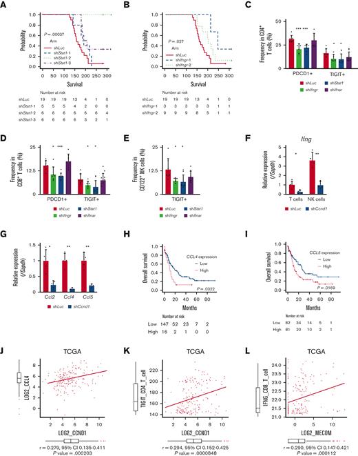 Overexpression of CCND1 is associated with type II IFN signature in human AML. (A-B) A Kaplan-Meier survival curve for recipient mice that underwent transplantation with 1 × 106 EVI1-AML cells expressing shRNAs against indicated genes, after exposure to 4.5 Gy TBI. The data for shLuciferase are common in Figure 7A-B and supplemental Figure 7E. (C-E) Frequency of cellular subsets of CD4 T (C), CD8 T (D), and CD122+ NK (E) cells infiltrating the spleen of EVI1-AML mice with indicated shRNA after exposure to 6.5 Gy TBI. Please see supplemental Figure 6H. (F) qPCR showing the relative expression of Ifng in the spleen T and NK cells from shLuc- or shCcnd1-EVI1-AML mice, used in Figure 6D. (G) qPCR showing the relative expression of chemokines in the EVI1-AML cells 72 hours after transduction of shLuc or shCcnd1. (H) An overall survival of TCGA cohorts according to CCL4 expression divided at 90th percentile. (I) Overall survival of TCGA cohorts according to CCL5 expression divided at 50th percentile. (J) Pearson correlation analysis between CCL4 and CCND1 expression in TCGA samples. (K) Pearson correlation analysis between estimated expression of TIGIT in CD4 T cells calculated using CIBERSORTx and CCND1 expression in TCGA samples. (L-M) Pearson correlation analysis between estimated expression of IFNG in CD8 T cells calculated using CIBERSORTx and MECOM/CCND1 expressions in TCGA samples. (N) Pearson correlation analysis between estimated expression of ICOS in CD8 T cells calculated using CIBERSORTx and CCND1 expression in TCGA samples. (O) Pearson correlation analysis between estimated expression of LAG3 in NK cells calculated using CIBERSORTx and CCND1 expression in TCGA samples. Mean ± SD. ∗P < .05, ∗∗P < .01, ∗∗∗P < .001.