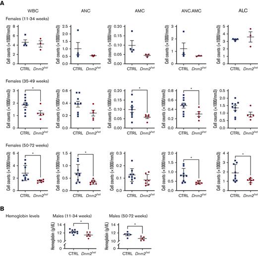 Complete blood count (CBC) abnormalities in Dnm2het when compared with CTRL mice. (A) Comparison of WBC counts in female Dnm2het and in CTRL mice aged 11 weeks and above (11-34 weeks: N = 4, 35-49 weeks: N = 5 and above, 50-72 weeks: N = 7 and above). Older female Dnm2het mice have significantly decreased WBC compared with CTRL mice, affecting mainly neutrophils, starting at middle-age (∼40 weeks; age range, 11-34 weeks). This persists at older ages (age range, 50-72 weeks). (B) Comparison of hemoglobin levels in male Dnm2het and CTRL mice aged 11 weeks and above (11-34 weeks: N = 6 and above, 50-72 weeks: N = 5 and above). Mildly decreased hemoglobin was observed in male Dnm2het only. Error bars indicate SEM. Only marked, group-wise comparisons are significant. ∗P < .05, t-test. ALC, absolute lymphocyte count; AMC, absolute monocyte count; ANC, absolute neutrophil count; ANC.AMC, combined absolute neutrophil and monocyte count; SEM, standard error of the mean; WBC, white blood cells.