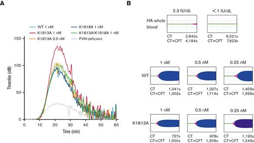 Global coagulation function potentials on FVIII K1813A, K1818A, and K1813A/K1818A mutants. (A). FVIII WT (1 nM) or mutants (K1813A; 0.5 and 1 nM; K1818A, 1 nM; K1813A/K1818A, 1 nM) were added to commercial FVIII-deficient plasma. These samples were incubated with TF (1 pM) and PL vesicles (4 μM) before the addition of fluorogenic substrate and CaCl2 at the start of the assay. Experiments were performed 3 separate times, and the mean values are shown thrombin generation curves are shown (black; WT 1 nM, red; K1813A 1 nM, tangerine; K1813A 0.5 nM, blue; K1818A 1 nM, green; K1813A/K1818A 1 nM, gray; buffer). (B) ROTEM. CaCl2 was added to citrated whole blood sample (residual FVIII activity of 2.3 and <1 IU/dL) in 2 patients with severe HA, together with various concentrations of FVIII mutants (WT and K1813A), followed by a ROTEM assay. The raw blood data in 2 patients and the representative curves in 1 patient are shown. The average parameters (CT and CT+CFT) in 2 patients are shown below each figure. The CT and CT+CFT obtained from normal controls (n=20) were 938±128 seconds and 1273±217 seconds, respectively. CT, clot time; CFT, clot formation time.