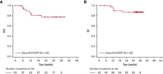 Kaplan-Meier assessments of investigator-assessed PFS and OS.